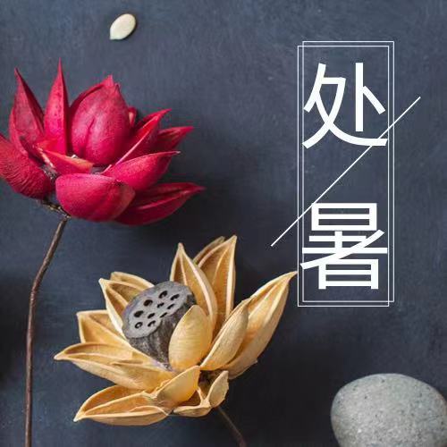 處暑|四時俱可喜，最好新秋時